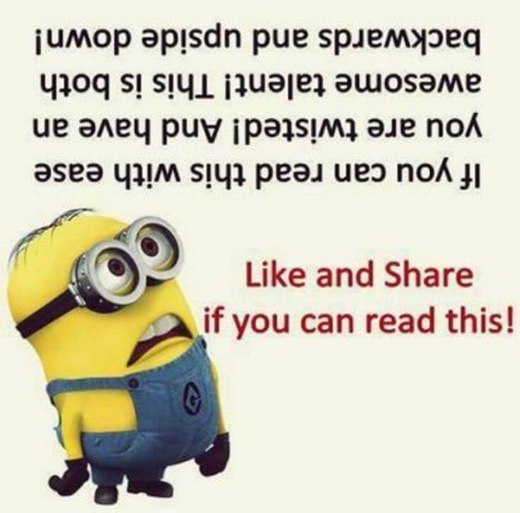 38 Funny Quotes Minions And Minions Quotes Images 16