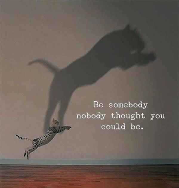 67 Great Inspirational Quotes Motivational Words To Keep You Inspired 53