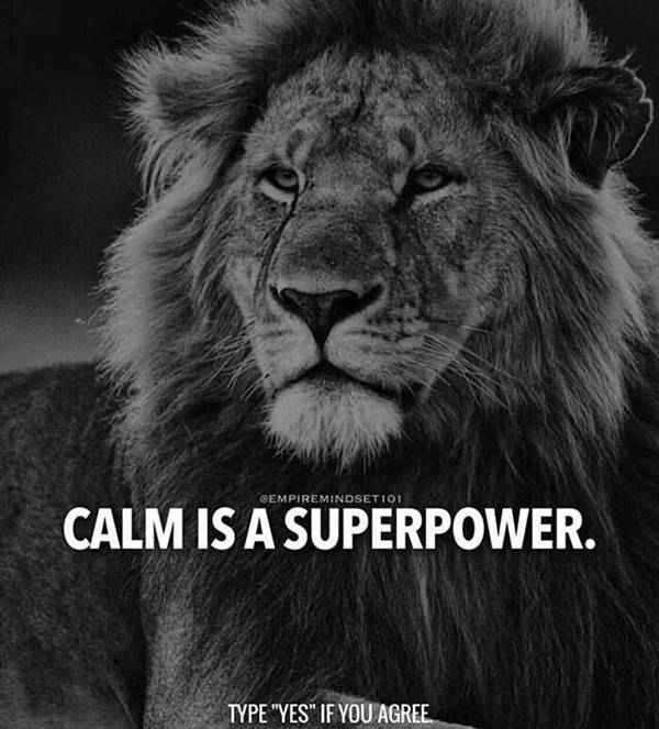 67 Great Inspirational Quotes Motivational Words To Keep You Inspired 64