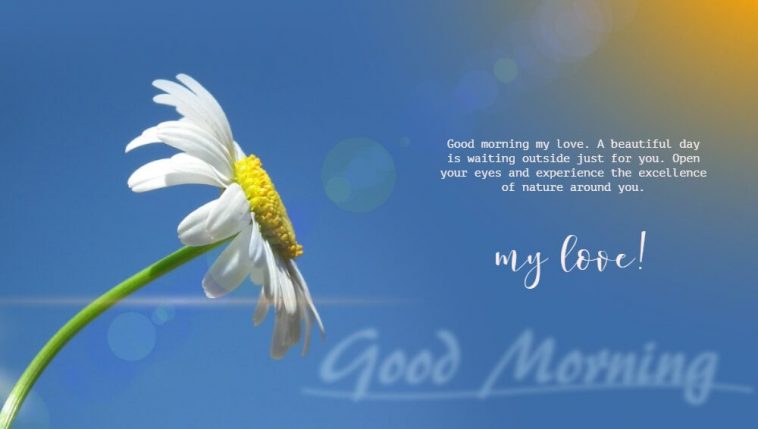 Collection 97 Good Morning Love Messages For Her Best