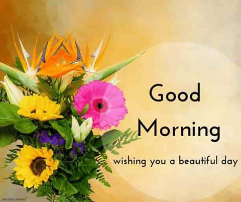 best morning Images and Pictures