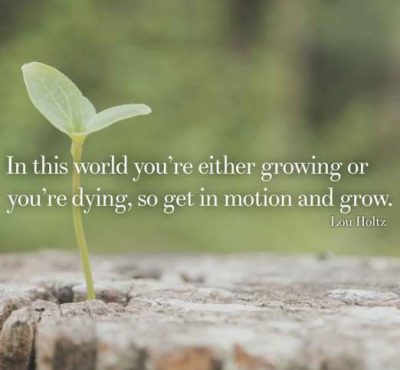 Collection : 80 Most Inspirational Quotes About Personal Growth ...
