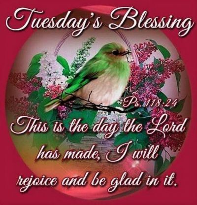 Collection : 180+Tuesday Blessings Images, Photos, Quotes, GIF Pics ...