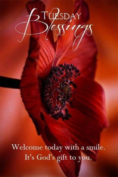 Happy Blessed Tuesday