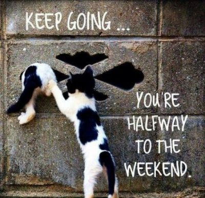 Funny Wednesday Jokes