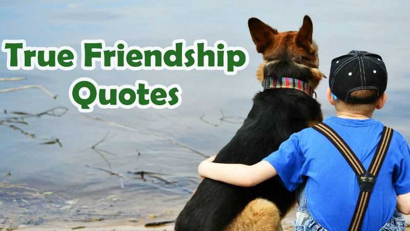 Top 5 True Friendship Quotes