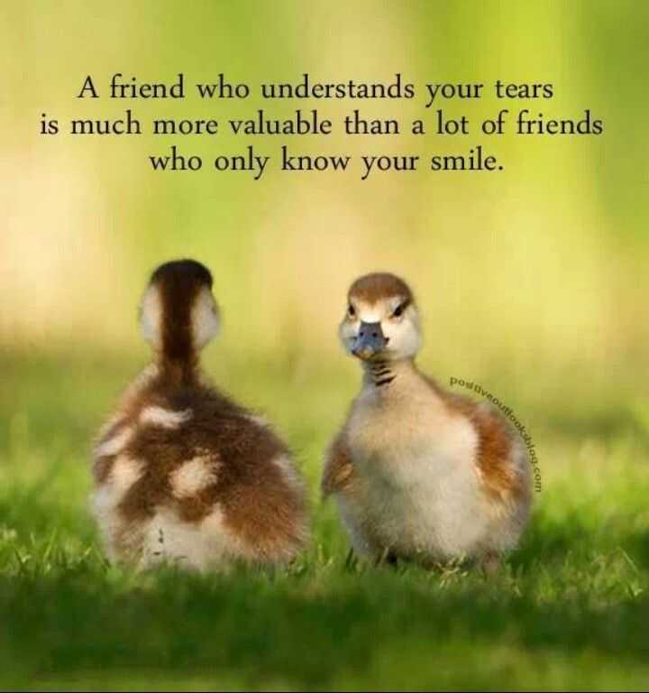 Best Friendship Quotes A friend Who Understand Your Tears Quotes About Best Friend