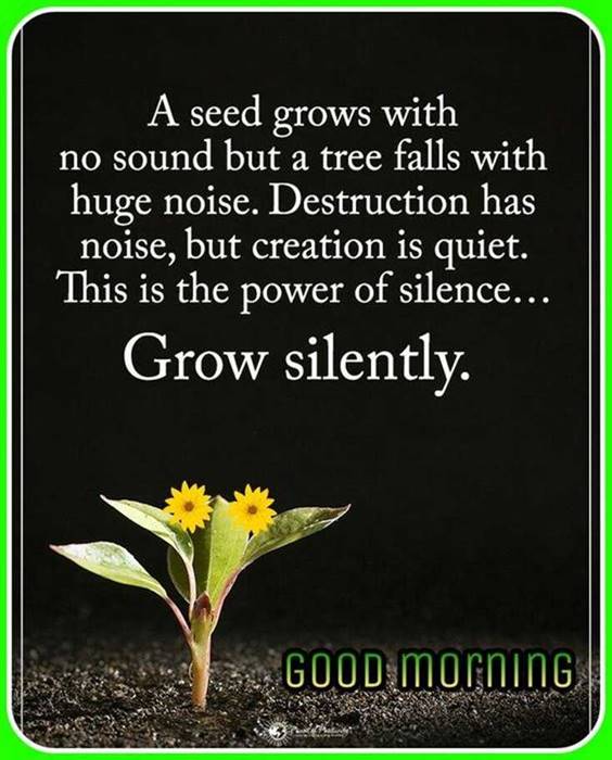 Good morning quotes with images and good morning messages 5