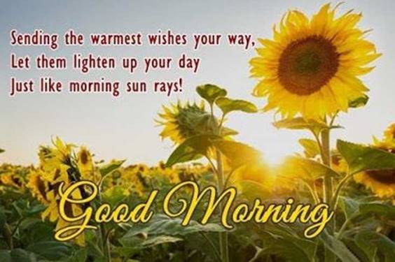 Good morning quotes with images and good morning messages 19