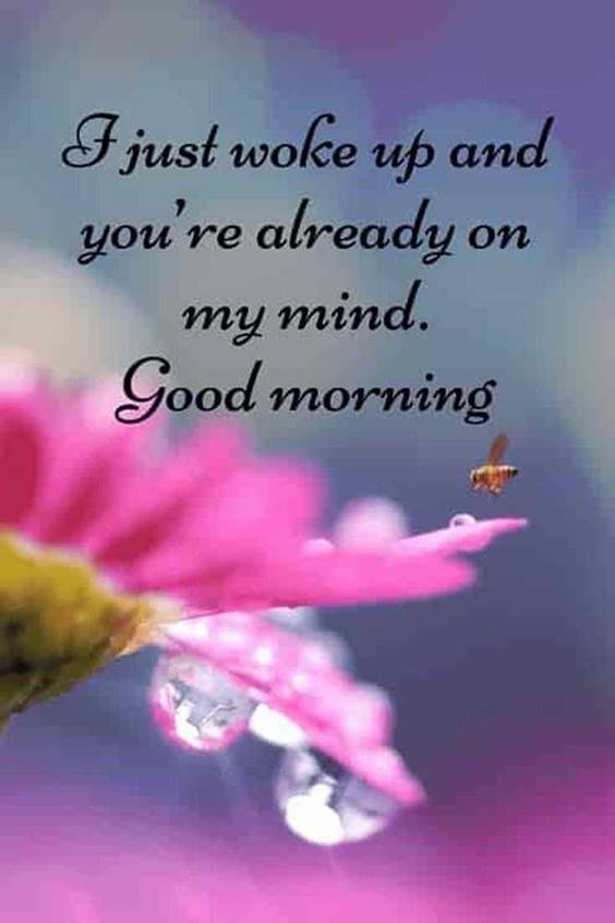 Good morning quotes with images and good morning messages 28