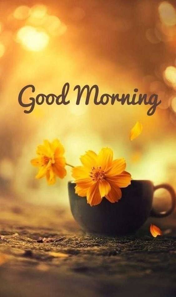 Good morning quotes with images and good morning messages 35
