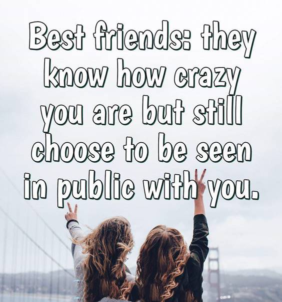 Collection : 40 Crazy Funny Friendship Quotes for Best Friends ...