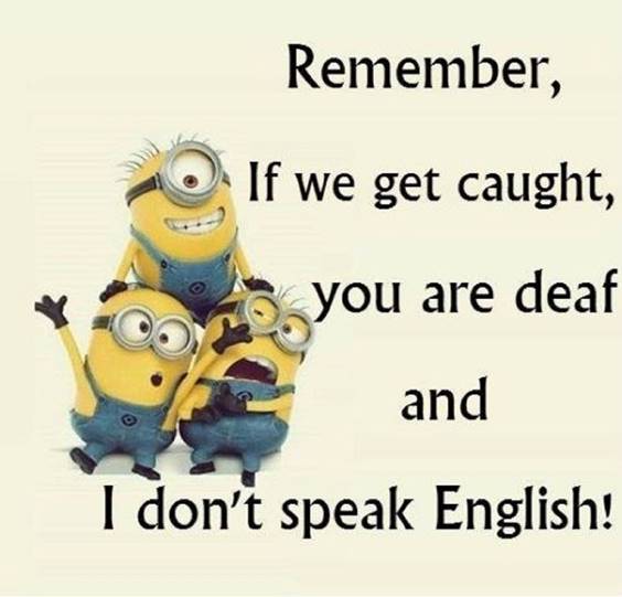 42 Funny Jokes Minions Quotes With Minions 2