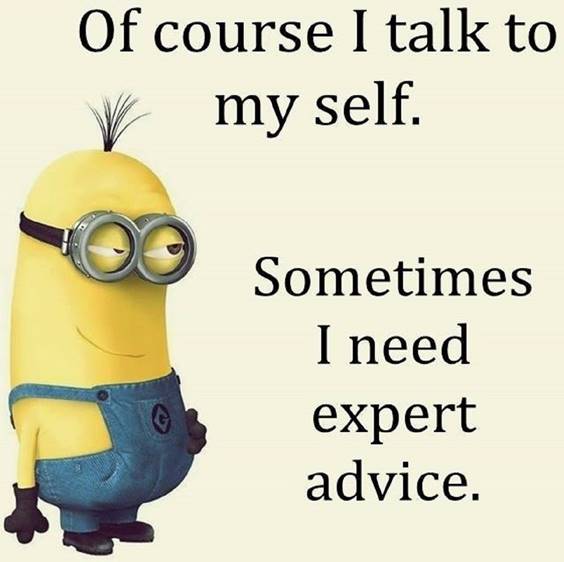 42 Funny Jokes Minions Quotes With minions positive quotes