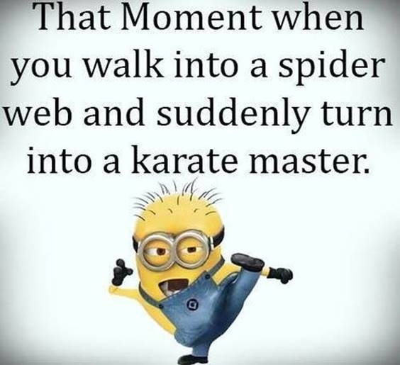 42 Funny Jokes Minions Quotes With minion images quotes