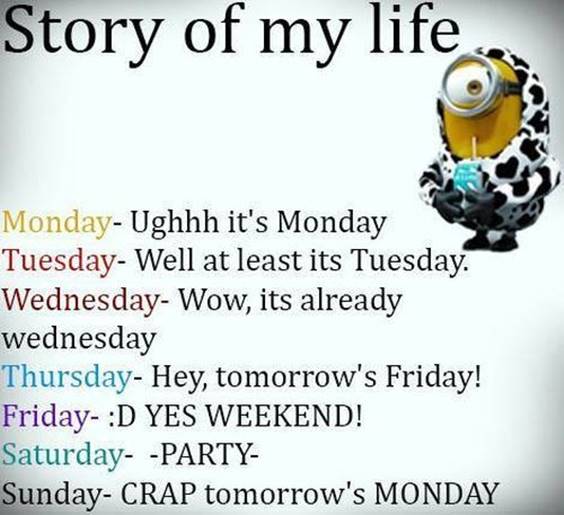 38 Great Funny Minion Quotes Funny images Funny Memes 4