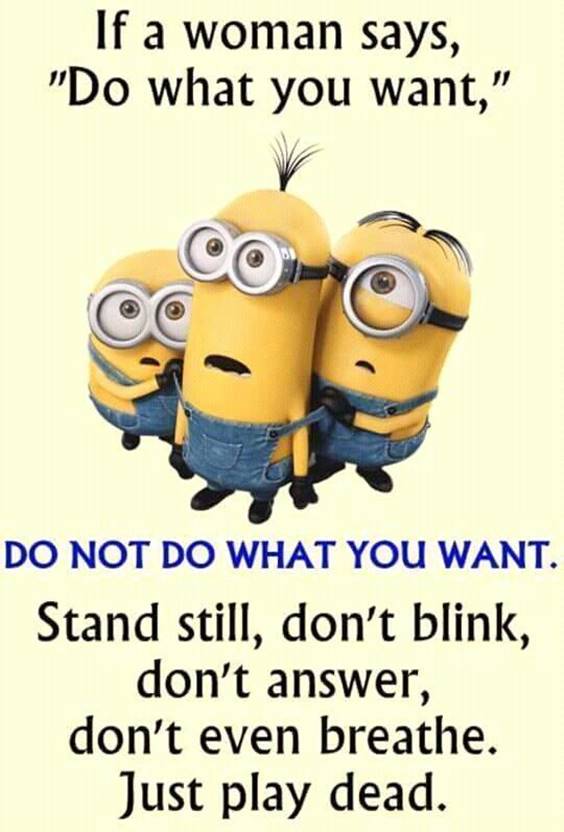38 Great Funny Minion Quotes Funny images Funny Memes funny conversation memes funny pictures messages