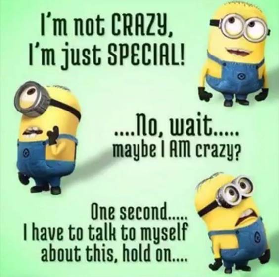 38 Great Funny Minion Quotes Funny images Funny Memes 22