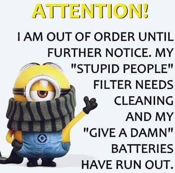 38 Great Funny Minion Quotes Funny images Funny Memes 21