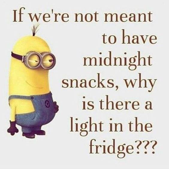 38 Great Funny Minion Quotes Funny images Funny Memes 27