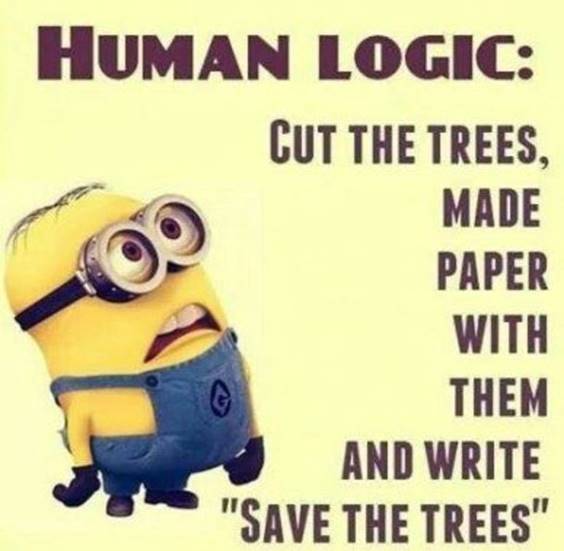 38 Great Funny Minion Quotes Funny images Funny Memes 36