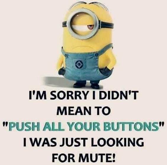 38 Great Funny Minion Quotes Funny images Funny Memes something really funny to text