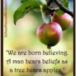 Best Apples Quotes 2 image