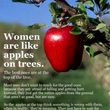 Collection  +27 Apples Quotes and Sayings with Images