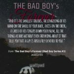 Best Bad Boy Quotes 3 image