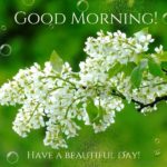 Beautiful Day Quotes 2