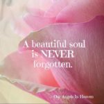 Best Beautiful Soul Quotes 2 image