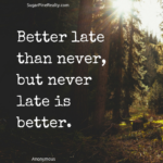 Best Better Late Than Never Quotes image
