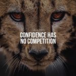 Cheetahs Quotes and Sayings with Images