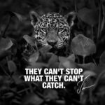 Best Cheetahs Quotes 2 image