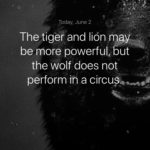 Best Circus Quotes 2 image