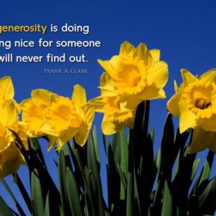 Collection : +27 Daffodil Quotes and Sayings with Images