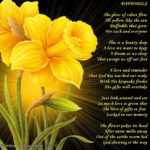 Daffodil Quotes and Sayings with Images