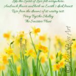 Daffodil Quotes 2 and Sayings with Images
