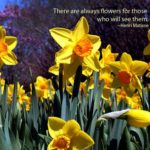 Daffodil Quotes 2 and Sayings with Images