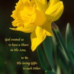 Best Daffodil Quotes image