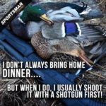 Duck Hunting Quotes