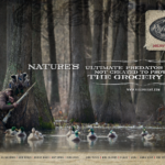 Duck Hunting Quotes and Sayings with Images