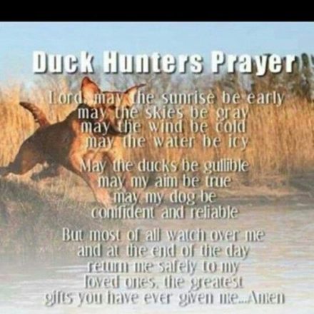 Collection : +27 Duck Hunting Quotes and Sayings with Images