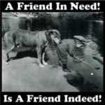 Best Friend In Need Quotes 2 image
