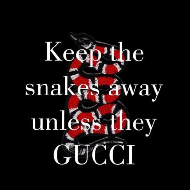 Collection +27 Gucci Quotes 2 and Sayings with Images