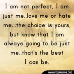Best I'm Not Perfect Quotes 3 image