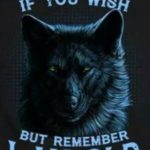 Lone Wolf Quotes 2 and Sayings with Images