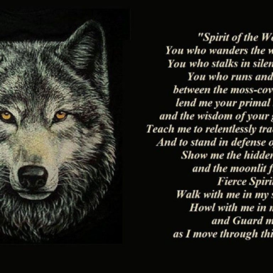 Collection : +27 Lone Wolf Quotes 2 and Sayings with Images