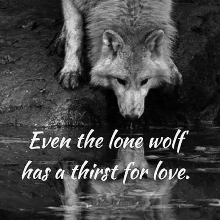 Collection : +27 Lone Wolf Quotes And Sayings With Images