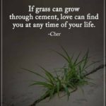Best Love Grows Quotes 2 image